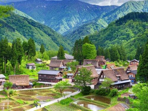 【政策速递】山东淄博淄川区拟征收约4公顷土地，每公顷补偿180万元，村民请尽快关注