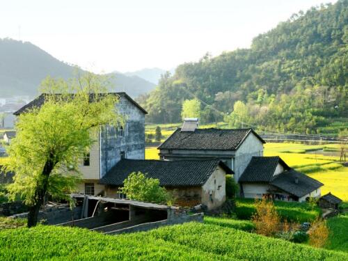 【征地公告】山东东营利津县发布征地补偿安置方案，相关村民请关注