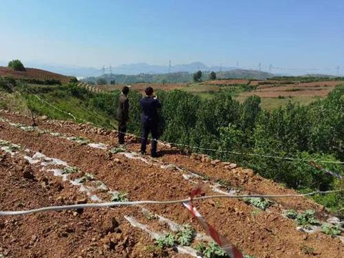 冠领律师代理山东泰安确认占用土地违法案胜诉-图2