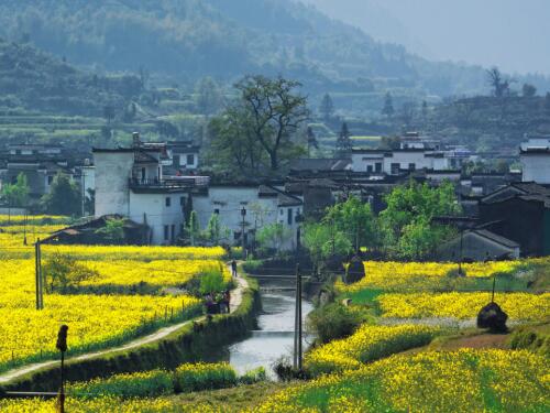【胜诉故事】冠领律师代理辽宁铁岭两起确认《拟征地补偿安置决定书》违法案胜诉-1