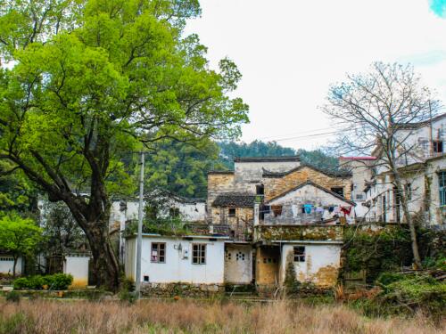 冠领律师代理辽宁沈阳农村房屋撤销安置决定书案胜诉-1