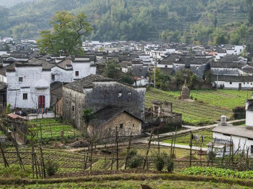 冠领律师代理四川广安拒不履行征地补偿案成功调解-1