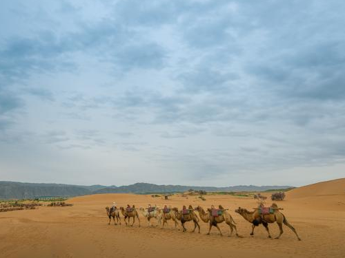 冠领律师代理宁夏中卫某旅游公司环保拆迁补偿案胜诉-1